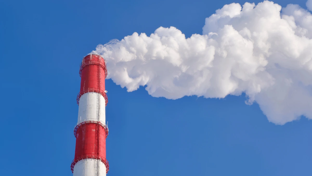 Zdjęcie do artykułu: Elastyczne sposoby korzystania z oprogramowania przemysłowego